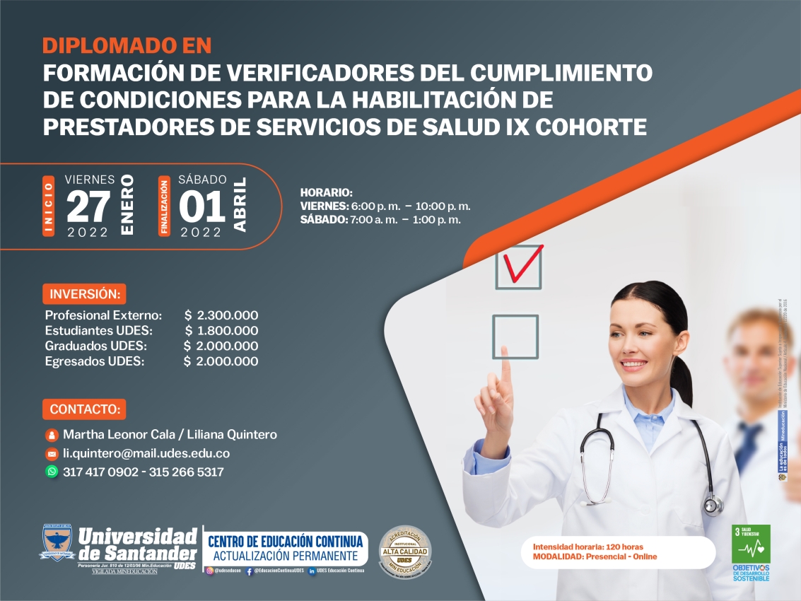 Diplomado_formacion_verificadores_ok